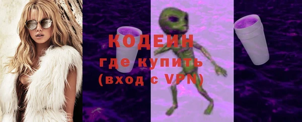 индика Ладушкин