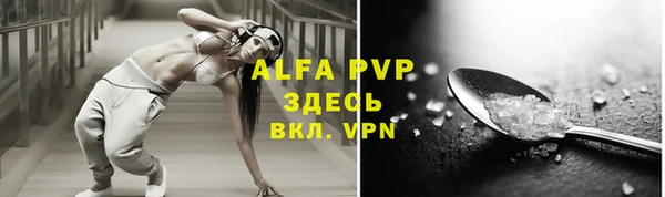 индика Ладушкин