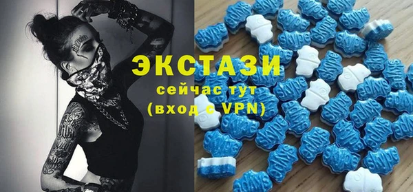 индика Ладушкин